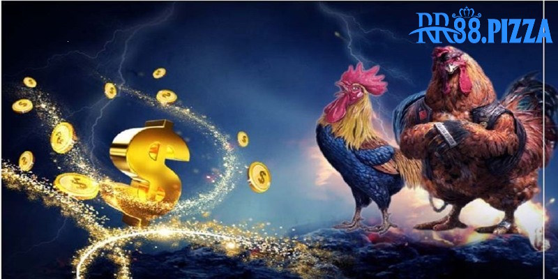 Hãy cập nhật thông tin về gà chọi để phân tích kỹ càng hơn